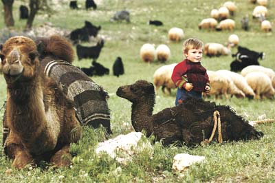 Anadolu'nun son göçerleri yol arıyor