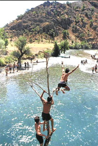 Çevre ve Orman Bakanlığı'ndan dört ay sonra gelen HES itirafı