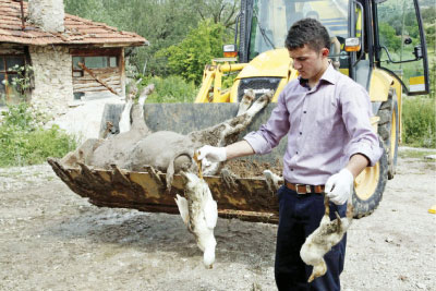 Valilikten itiraf: Suya siyanür karıştı